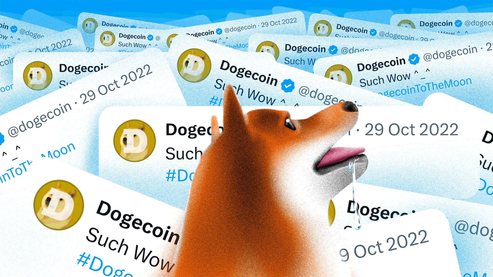Dogecoin мүмкіндікті өткізіп алу қорқынышы келе жатыр ма? Тамыз айындағы мұқият бақылауға тұрарлық катализаторлар