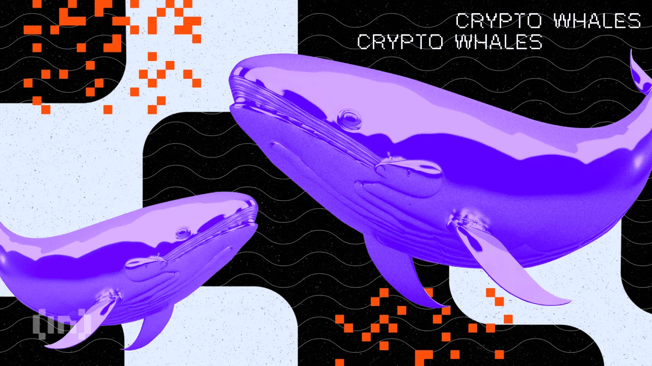 Джастин бе? XPL 200%-ға өсті, кит Hyperliquid-те тапсырыс кітабын жойды