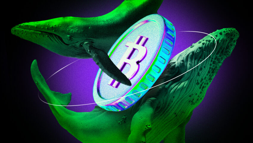 Bitcoin киті Hyperliquid-те 1,25 млрд долларлық ұзақ ставкамен екі есе көбейтті