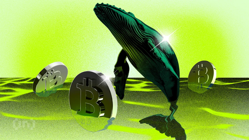 Жаңа биткоин киттері енді BTC капиталының көп бөлігін ұстайды | Апталық киттер бақылауы