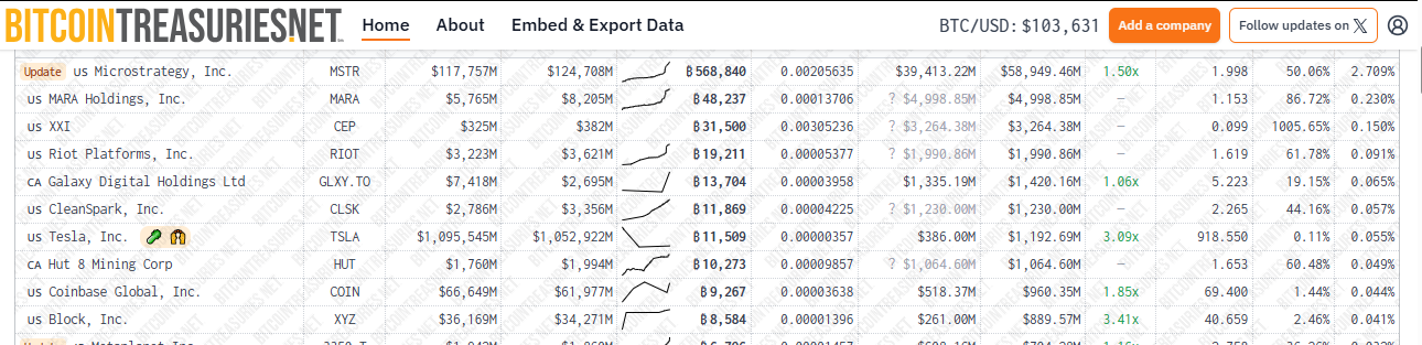 Портфель көлемі бойынша корпоративтік Bitcoin иелері